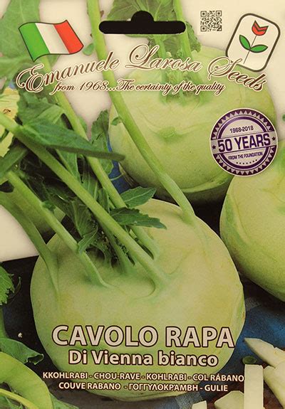 Chou Rave Vienna White Vienna White Kohlrabi Produits De Jardinage En Ligne