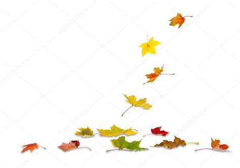 Autumn Maple Leaves Falling Stock Photo By ©ssergdibrova 52721477