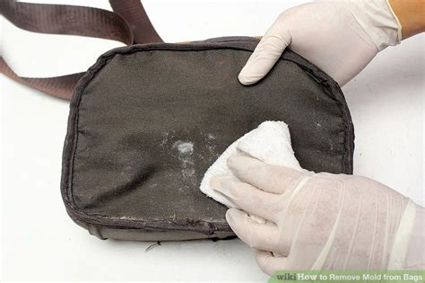 7 Ways To Remove Mold From Bags Wikihow