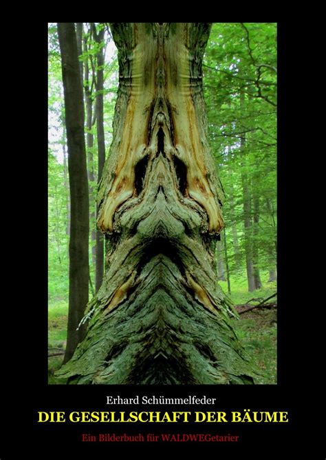 Bäume Mit Menschlichen Gesichtern Ein Bilderbuch Für Waldwegetarier