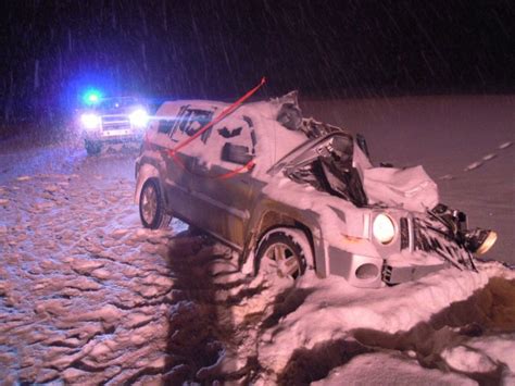 Alberta Suv Driver Survives Collision With Moose Globalnewsca