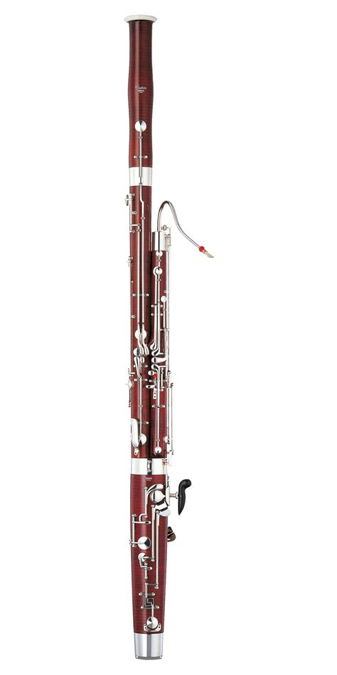 Instrument Exploration Bassoon Class Notes From Yourclassical