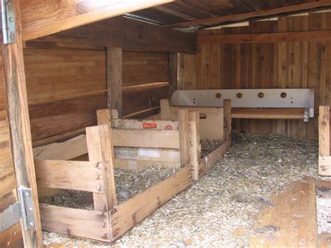 Interieur Poulailler Plan Chicken Coops