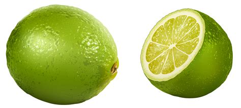 Free Lime Cliparts, Download Free Lime Cliparts png images, Free ...