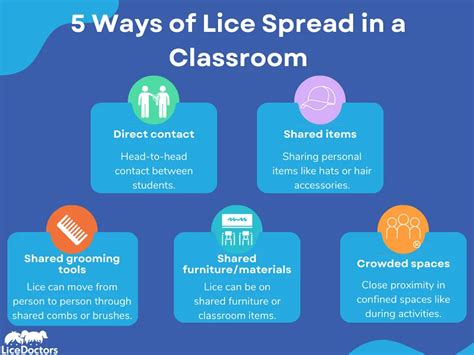 Lice At School What To Do A Guide For Parents And Schools Licedoctors