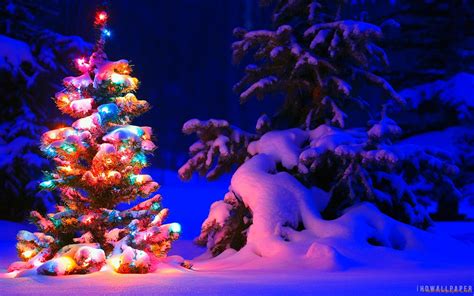 Beautiful Christmas Tree In Snow Wallpapers Wallpaper Cave