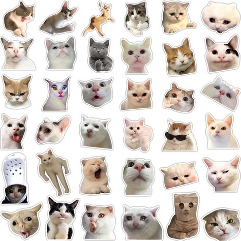 Buy Funny Cat Stickers Pack Hilarious Cat Meme Decals Set Waterproof Graphic Cat Face
