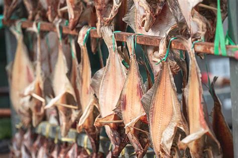 5 Simple Steps On How To Make Dry Fish In Nigeria 2022