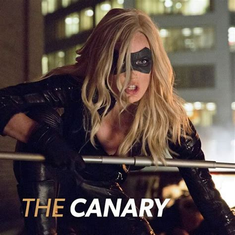 Caity Lotz As The Black Canary On Arrow Arrow Black Canary Black Canary White Canary
