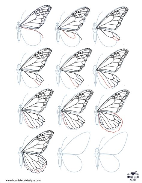 How To Draw A Butterfly Step By Step