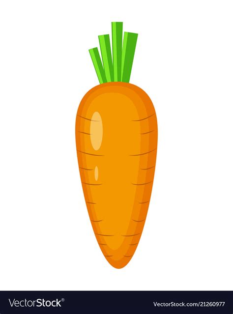 Colorful Carrot Isolated O Royalty Free Vector Image