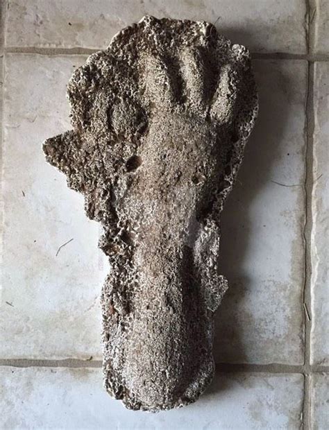 Fouke Monster Footprint Monster University Of Arkansas Urban Legends