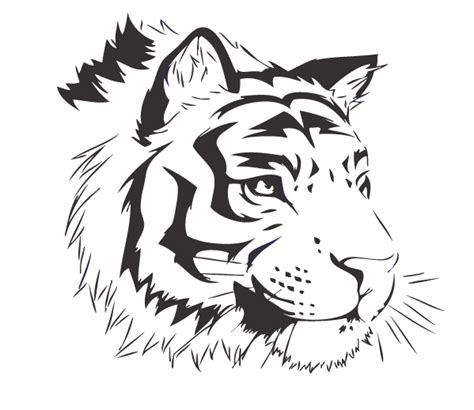 Vector Bengal Tigger By Crazthonfry On DeviantArt