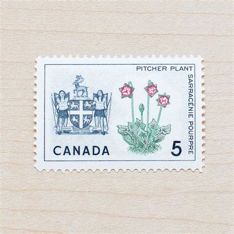 17 canada postage stamps vintage 5 cents uncancelled new unused for mailing botanical flowers
