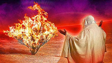 bible historian confirms moses was tripping balls while talking to burning bush