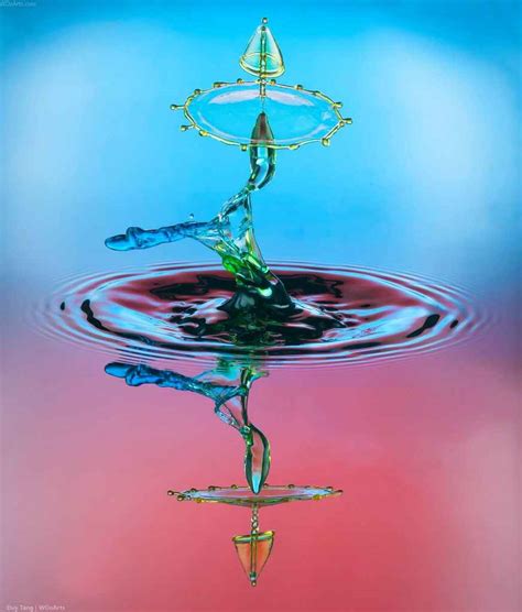 Photography Water Droplet Photos And Editing By Duy Tang