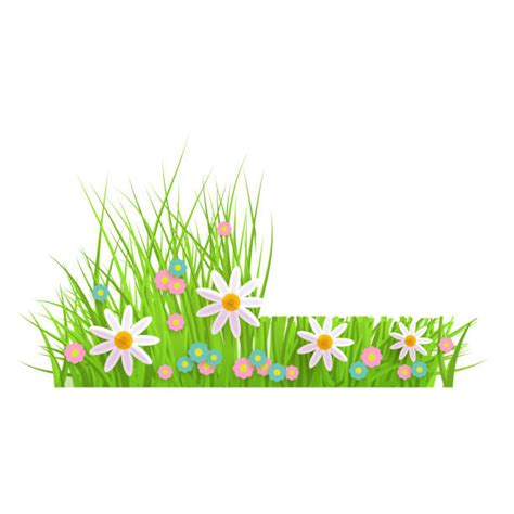 1100 Grass Cross Section Stock Illustrations Royalty Free Vector
