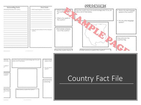 Fact File Template Teaching Resources