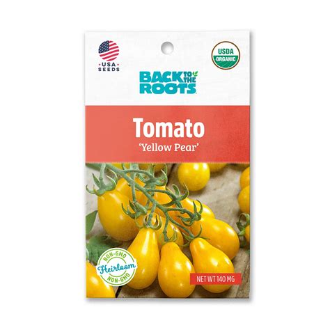 Back To The Roots Organic Yellow Pear Tomato Seeds 1 Seed Packet