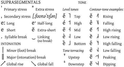 Double quotation marks would seem more natural to me, but i found the two style guide points below. International Phonetic Alphabet