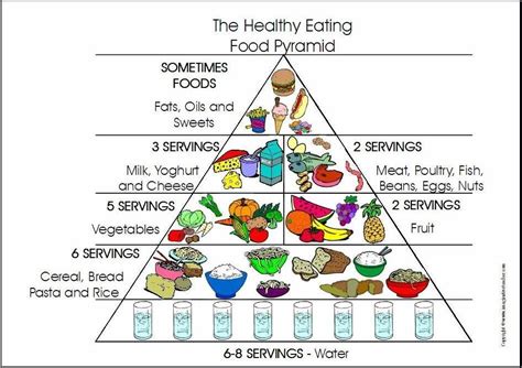 Healthy Eating Food Pyramid Healthy Cookie Recipes Healthy Eating