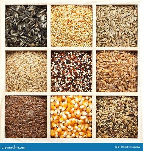 Seeds And Grains Variety Stock Photo Image Of Grains 21146198