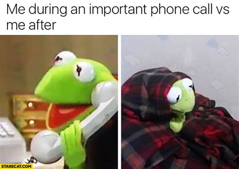 Kermit On The Phone Meme Meme Walls