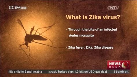 10 Facts You Need To Know About Zika Virus Youtube