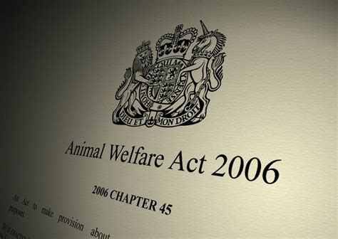 The animal welfare act 2015 was gazetted on 29 december 2015, and is very close to being enforcable by law! Vet groups advise Government committee on welfare act ...