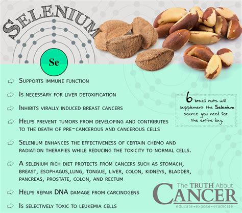 Health Benefits Of Selenium Can It Help Fight Cancer