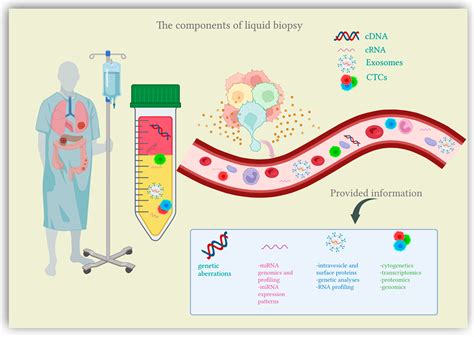 Applications Of Liquid Biopsy In Colorectal Cancer Screening Encyclopedia Mdpi