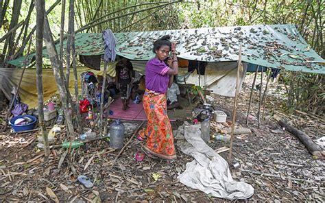 Pdf | the orang asli is one of the indigenous ethnic groups in malaysia, with its majority residing within outskirt and rural areas. Kg Kuala Koh Orang Asli to receive financial aid from govt ...