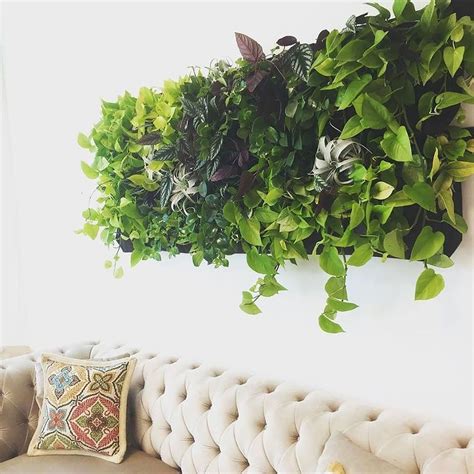 Indoor Vertical Gardening All You Need To Know In 2021 Plant Wall