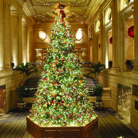 Five Must See Christmas Trees In The Chicago Loop