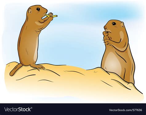 Prairie dogs Royalty Free Vector Image - VectorStock