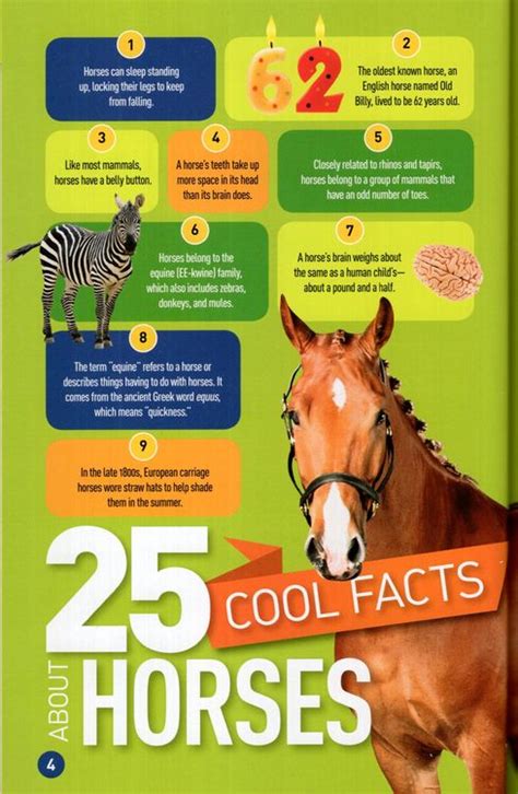 Gallop 100 Fun Facts About Horses National Geographic Kids Readers