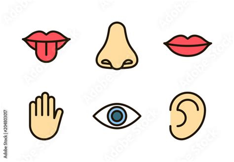 Outline Color Icon Set Of Five Human Senses Vision Eye Smell Nose