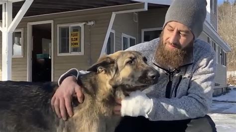Real Life Lassie Hero Dog Leads Authorities To Scene Of Crash