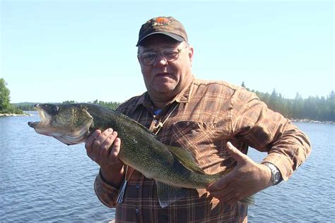 Walleye Fishing Erringtons Wilderness Resort Northern Ontario Canada