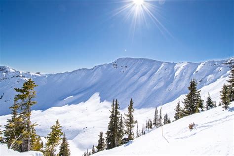 Ultimate Guide To Kicking Horse Mountain Resort Snowboard Traveler