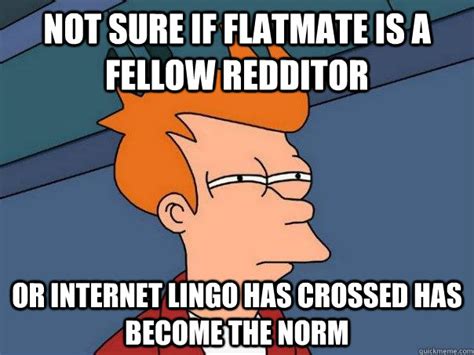 Not Sure If Flatmate Is A Fellow Redditor Or Internet Lingo Has Crossed
