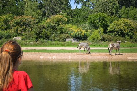 Idéalement situé dans le domaine du marquenterre à st quentin en tourmont, à proximité des plages de quend plage, fort mahon et le crotoy. Regarder les zèbres, parc de la tete d'or, Lyon en France