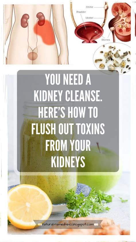 How To Cleanse Kidneys The Ultimate Guide Ihsanpedia
