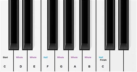 How Are Piano Keys Numbered A Guide To Understanding
