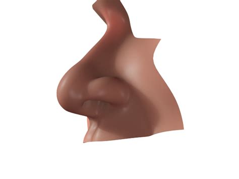 Nose Realistic Nose Human Nose 3d Model Max Obj Ma Mb