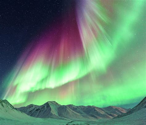 Aurora Borealis In Alaska By Noppawat Tom Charoensinphon