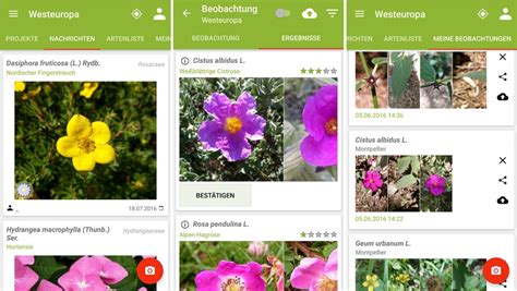 Mushroom identification app is a free android education app, has been published by happimoji on july 07, 2019. PlantNet Pflanzenbestimmung - App für Android & iOS