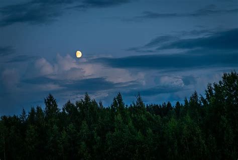 1920x1080px Free Download Hd Wallpaper Moon Above Forest During