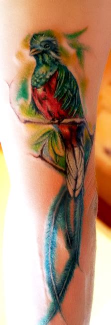 guatemalan quetzal bird tattoo ~ quetzal by miyavi3 on deviantart bodrumwasurt