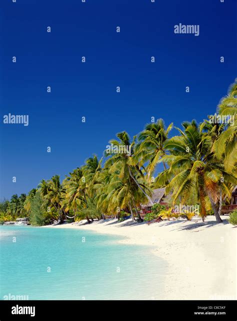 Atoll Palm Trees And Tropical Beach Aitutaki Island Cook Islands